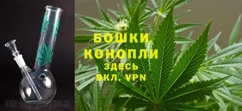 Каннабис White Widow  Бородино 